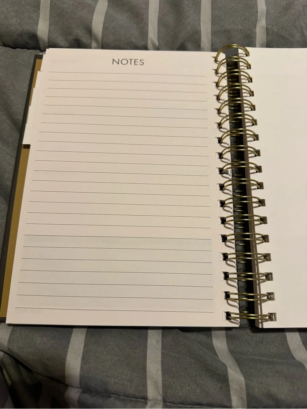 NEW Punch Studio Gold and Pink Floral Monthly & Weekly Planner
